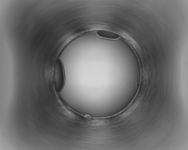 X0000116150993200911301537