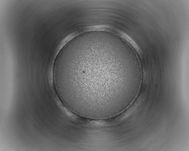 X0000116150994200911301537