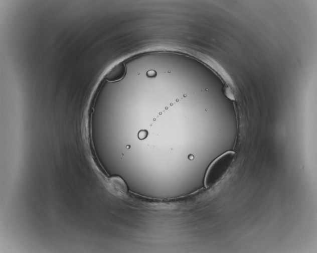 X0000116150996200911301537