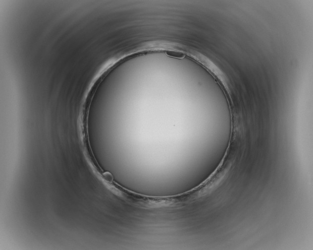 X0000116150997200911301537