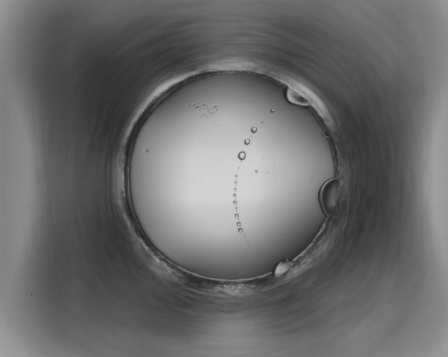 X0000116151000200911301537