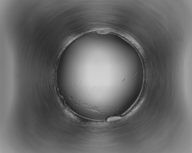 X0000116151001200911301537