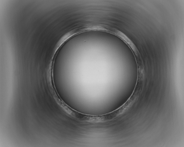 X0000116151002200911301537