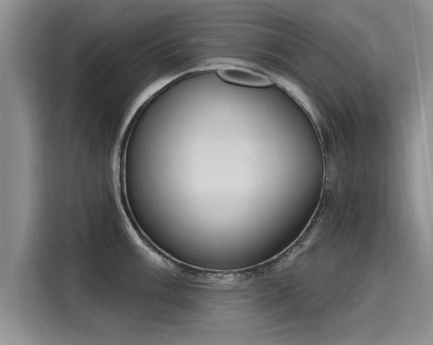 X0000116151003200911301537