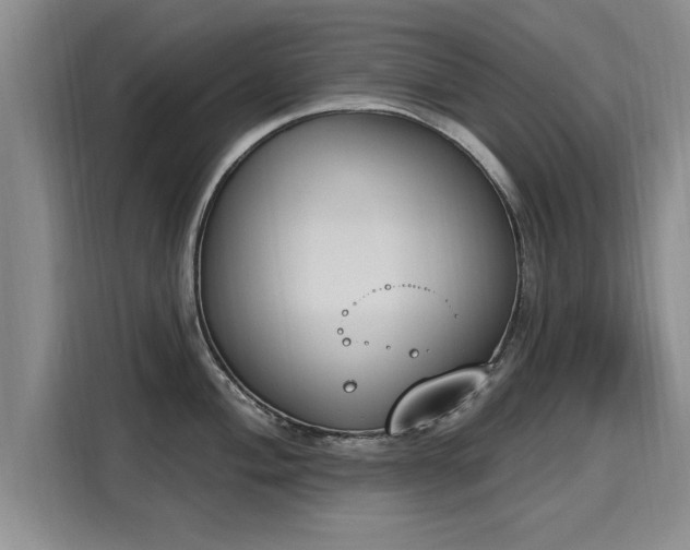 X0000116151004200911301537