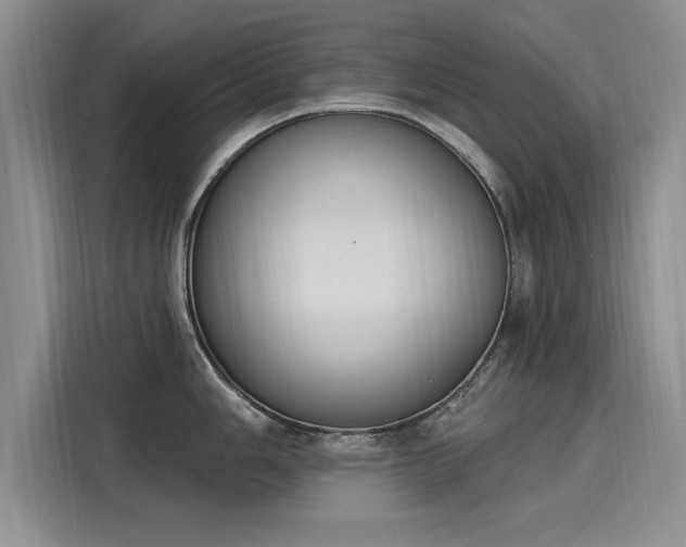 X0000116151006200911301537