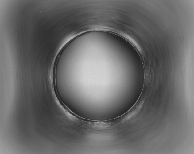 X0000116151007200911301537