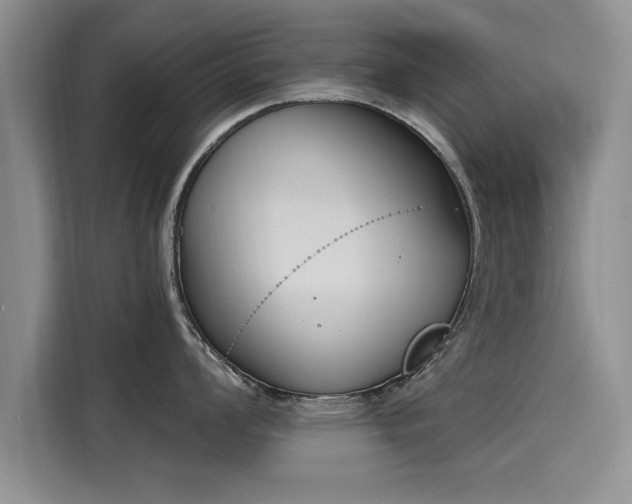 X0000116151008200911301537