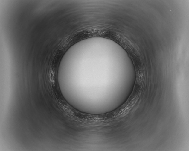 X0000116151010200911301536