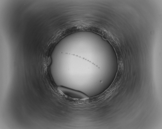 X0000116151012200911301536