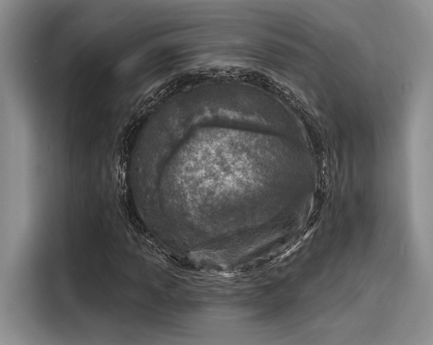 X0000116151013200911301536