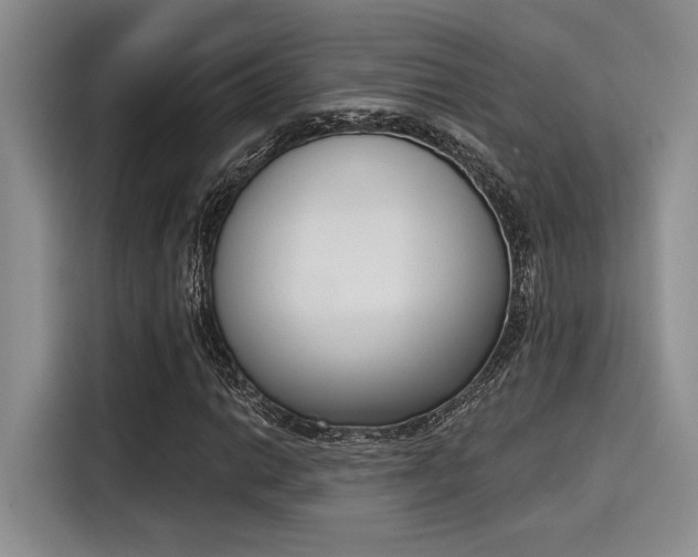 X0000116151014200911301536