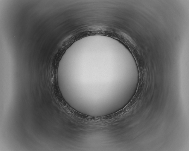 X0000116151016200911301536