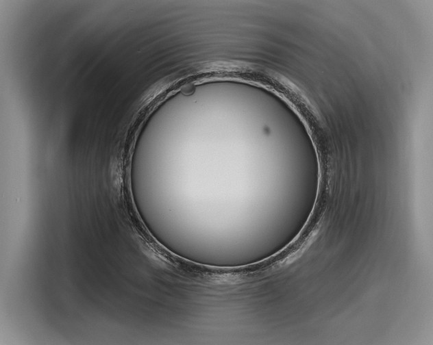 X0000116151017200911301536