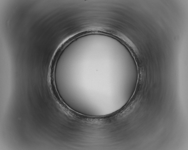 X0000116151020200911301536