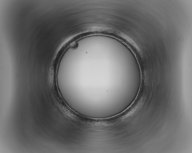 X0000116151021200911301536