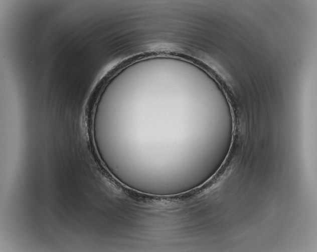 X0000116151022200911301536