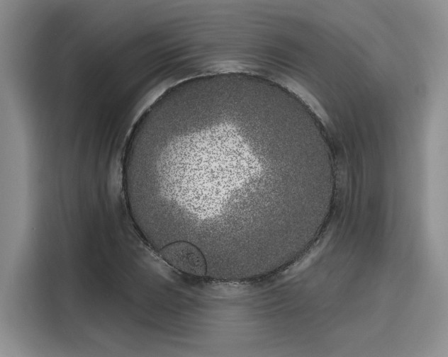 X0000116151023200911301536