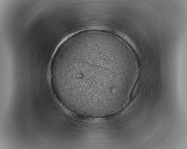 X0000116151024200911301536