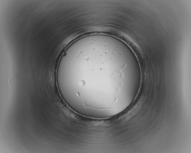 X0000116151025200911301536