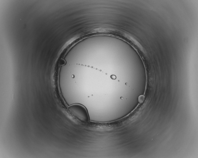 X0000116151026200911301536