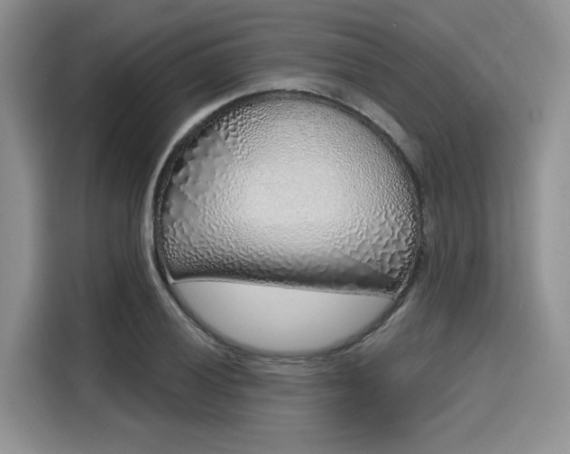 X0000116151028200911301536