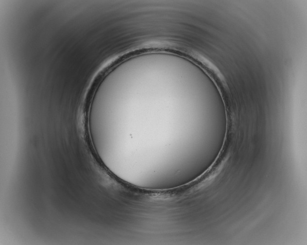 X0000116151029200911301536