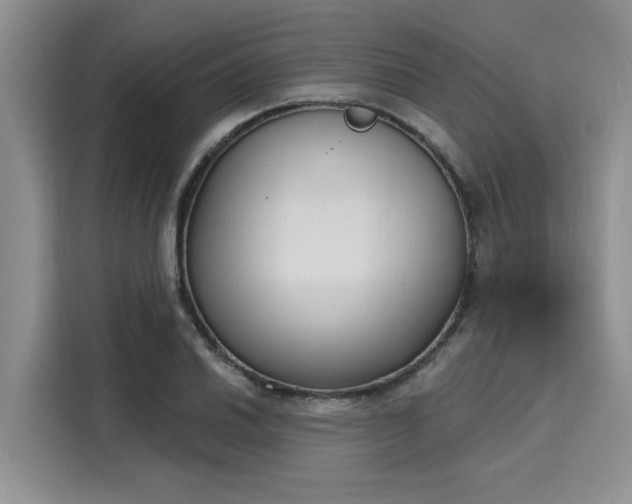 X0000116151030200911301536