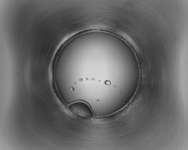 X0000116151032200911301536