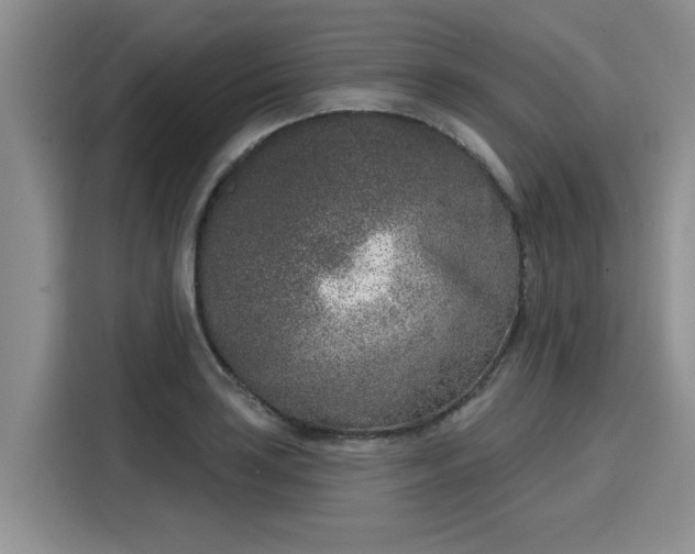 X0000116151035200911301536