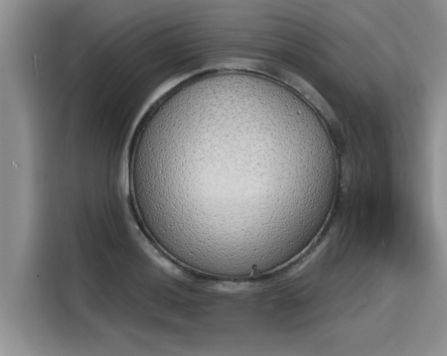 X0000116151036200911301536