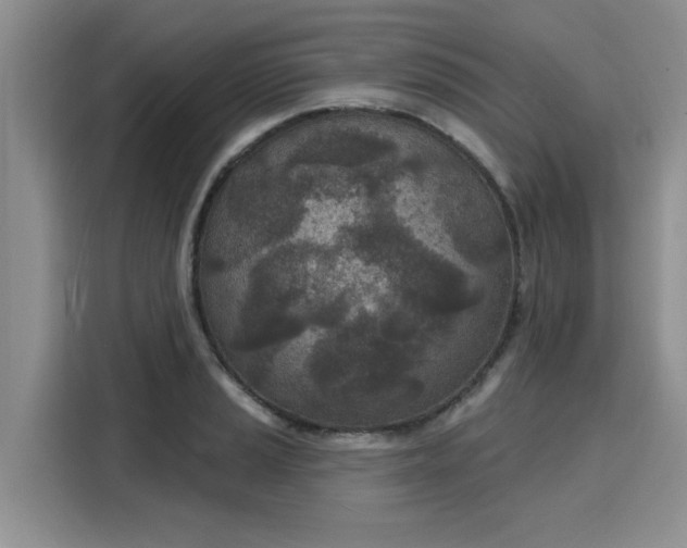 X0000116151037200911301537