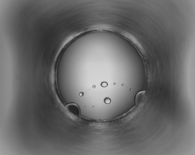 X0000116151040200911301537