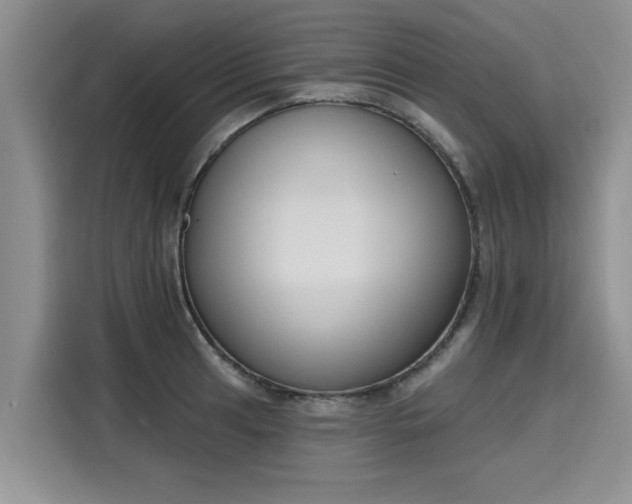 X0000116151041200911301537