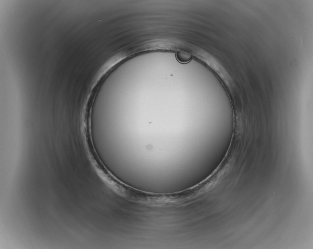 X0000116151042200911301537