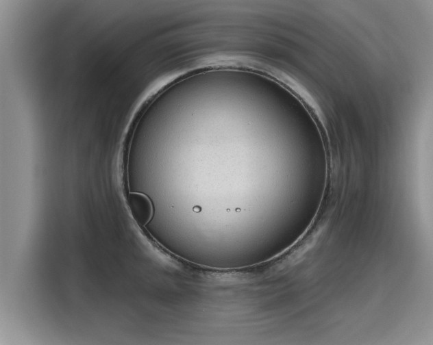 X0000116151045200911301537