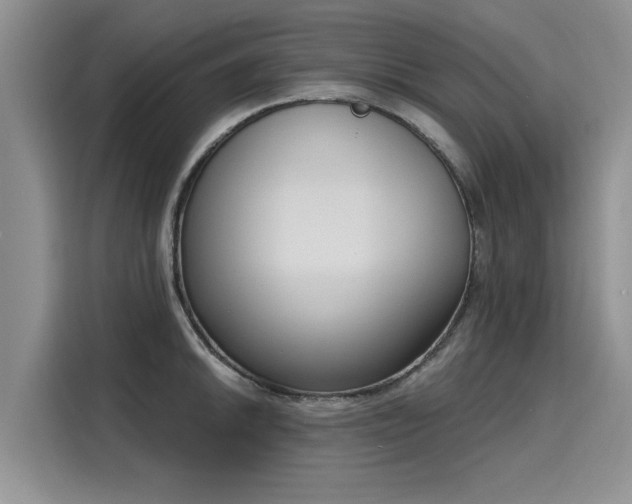 X0000116151046200911301537