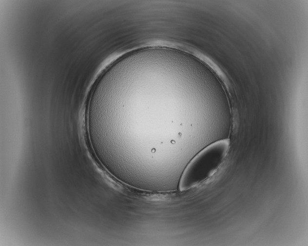 X0000116151048200911301537