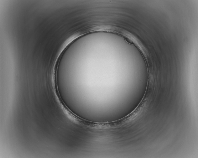 X0000116151050200911301537