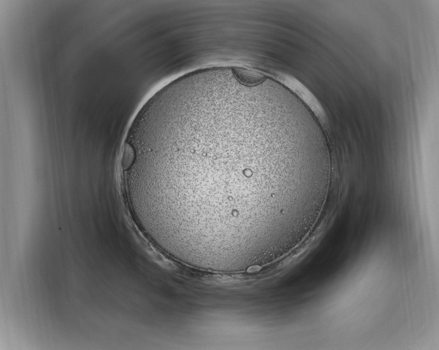 X0000116151052200911301537