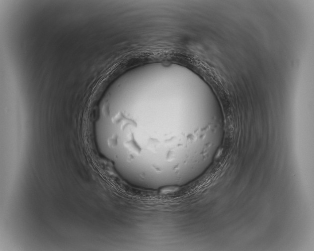 X0000116151057200911301536