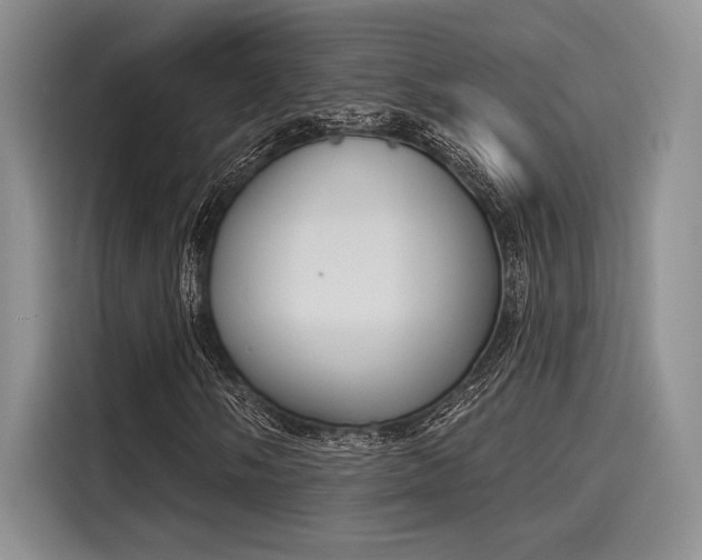 X0000116151058200911301536