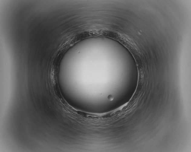 X0000116151060200911301536