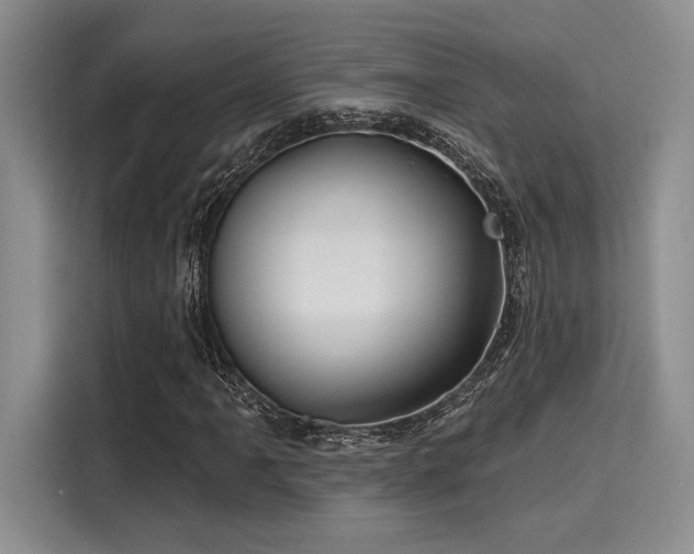 X0000116151061200911301536