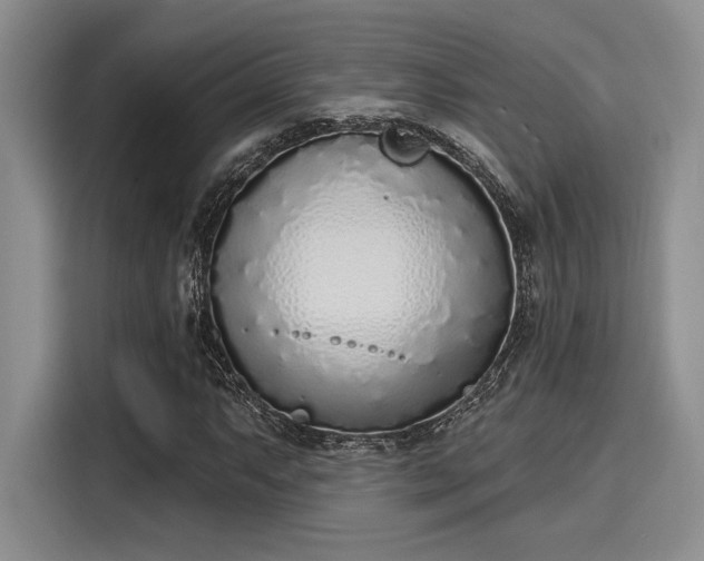 X0000116151063200911301536