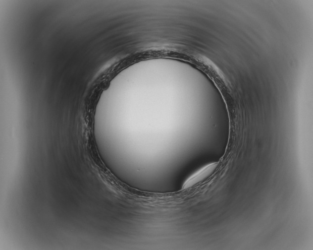 X0000116151064200911301536