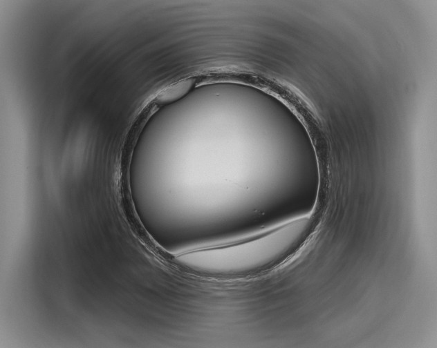 X0000116151065200911301536