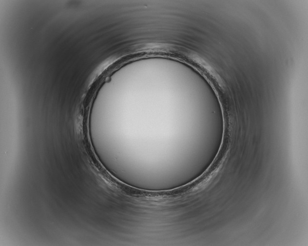 X0000116151066200911301536