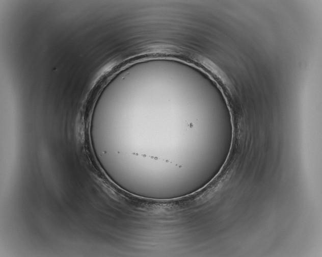 X0000116151067200911301536