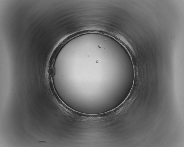 X0000116151068200911301536